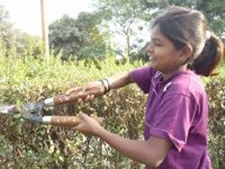 Mukti Project